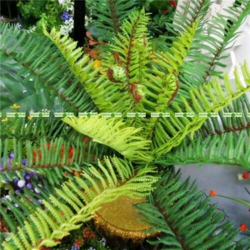 23 Head Artificial Phoenix Fern Palm Evergreen Leaf Plant Tree No Pot Vase Christmas Home Sago Decor Green AT018