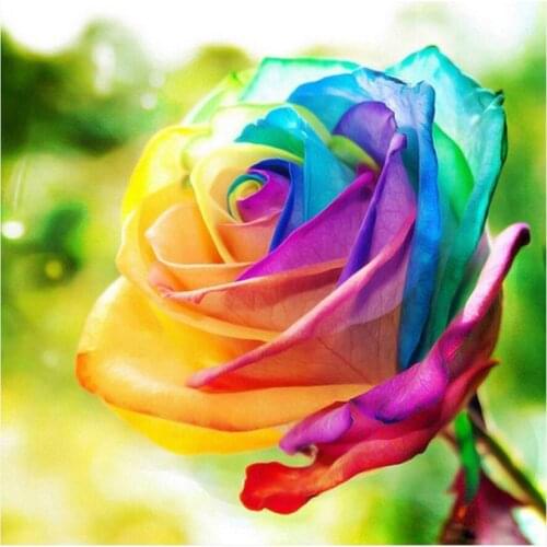 Colorful Rose Flower Diamond Painting Round Full Drill Floral Nouveaute DIY Mosaic Embroidery 5D Cross Stitch Home Decor Gifts