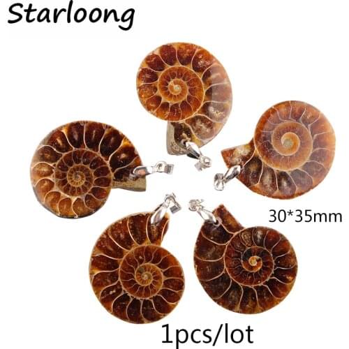 Fashion jewelry Natural Ammonite Fossils Seashell Ocean Reliquiae Conch Exquisite Snail Shells Pendants For Necklace Men Women