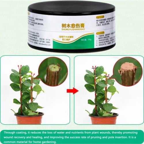 50g Plant Healing Sealant Bonsai Wound Healing Agent Tree Pruning Paste