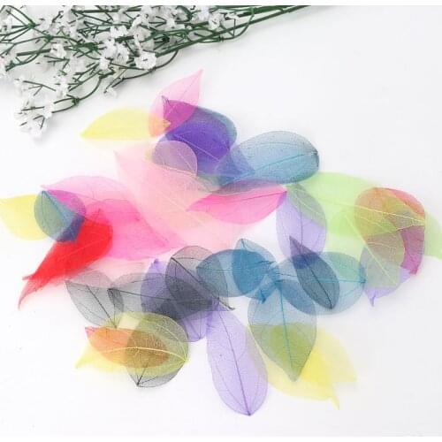 50 Pcs Mixed Color Natural Skeleton Leaves Pressed Flower for Jewelry Making