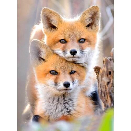 5D Square / Round DIY Diamond Painting Cartoon Bear Embroidery Rhinestone Mosaic Fox Cross Stitch Wall Sticker Art Painting