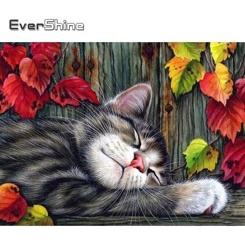 EverShine 5D DIY Diamond Painting Animals Cross Stitch Diamond Embroidery Cat Picture Rhinestones Handicrafts Home Decorations