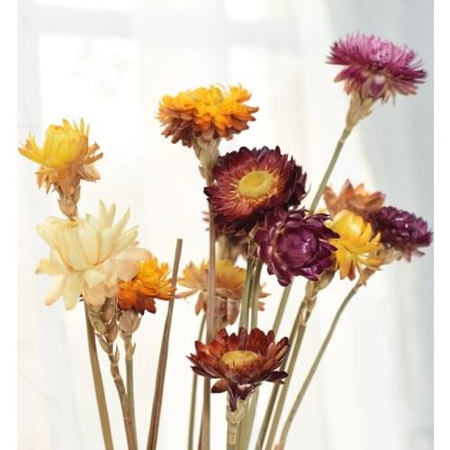 Straw Chrysanthemum Eternal Flower Small Daisy Wax Chrysanthemum Colorful Chrysanthemum Aromatherapy Candle Dried Flower