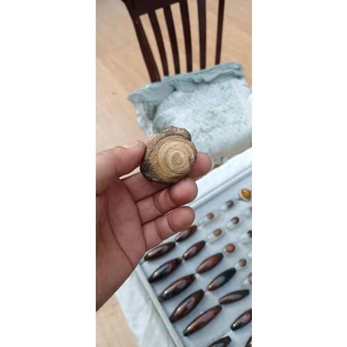 50pcs/lot Precious and powerful energy Surface money stone Meng dzi beads nine-eyed stone shale rough stones finely selected