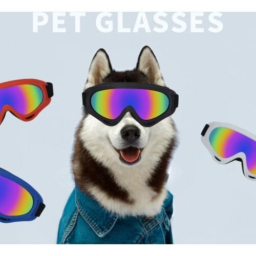 PETRICH Clothes And Footwear For Dogs