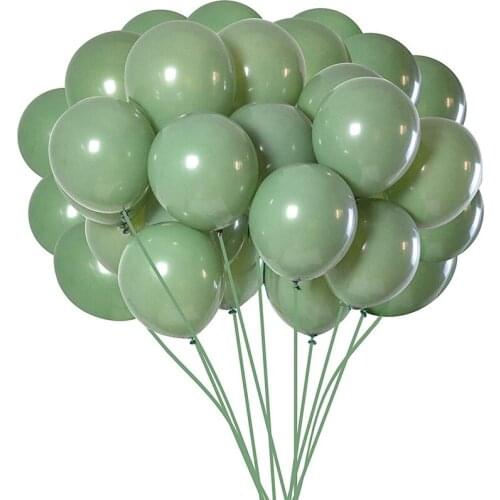 Sage Green Balloons,10 Inch Green Party Balloons,Balloon for Birthday Wedding Baby Shower Party Supplies or Arch