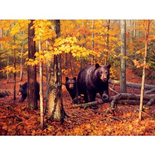 NEW Full square diamond 5D DIY diamond embroidery Autumn forest Bear diamond painting Cross Stitch Rhinestone mosaic decoration