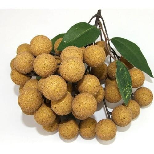 Artificial Fruits Props Plastic Simulation Lychee Model Cabinets Longan Fruit Fruit Shop Decoration Hotel Decoration