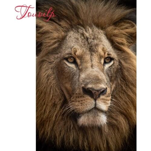 Full spuare&round Diamond Embroidery,Animal lion ,5Diamond Painting,Cross Stitch Diamond Mosaic,Needlework,Christmas art