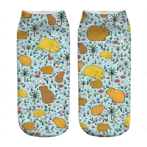 2021 Womens socks kawaii Light green Capybaras Printed Socks Woman harajuku Happy Funny Novelty cute girl gift Socks for women