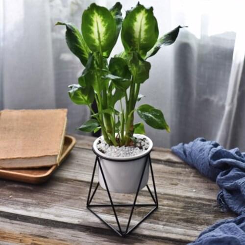 New Geometric Decor Vase Planter Modern Simple Iron Art Stand with Ceramic Pots Succulent Flower Container for Indoor decorate