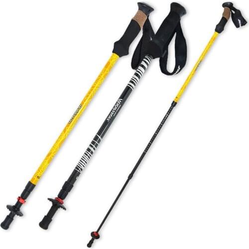 REBORNSUN Folding Walking Sticks