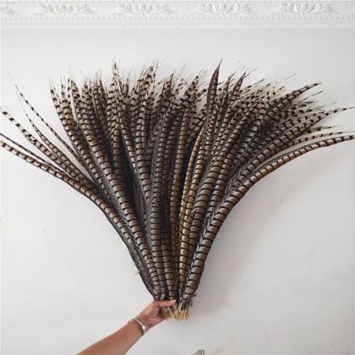 10pcs/lot Pheasant Tail Feathers For Crafts 100-110cm/40-44inch Party Carnival Show DIY Decoration Pheasant Feathers Plume
