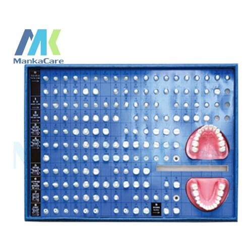 Manka Care - Teeth Preparation/ Made of imported resin/can be used for both operative dentistry and prosthodontics