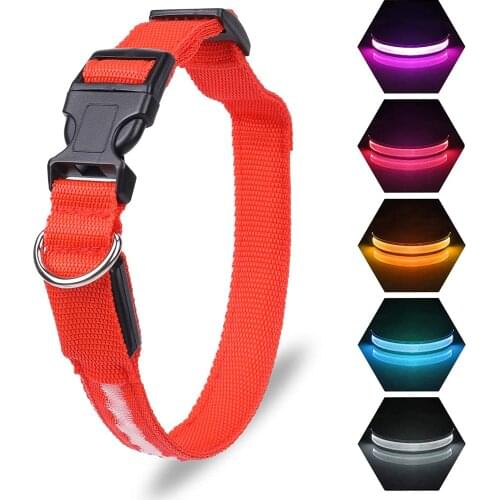 LED Pet Dog Collar USB Charging Anti-Lost Night Safety Flashing Glow Car Accident Collar Dog Luminous Fluorescent Leads Supplies