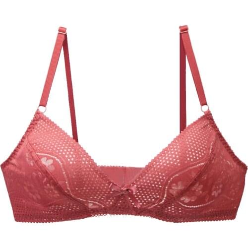 DaiNaFang Womens Floral Lace Sexy Bras Perspective Underwire Plus Size Bralette Large BCDEF Cup Female Lingerie