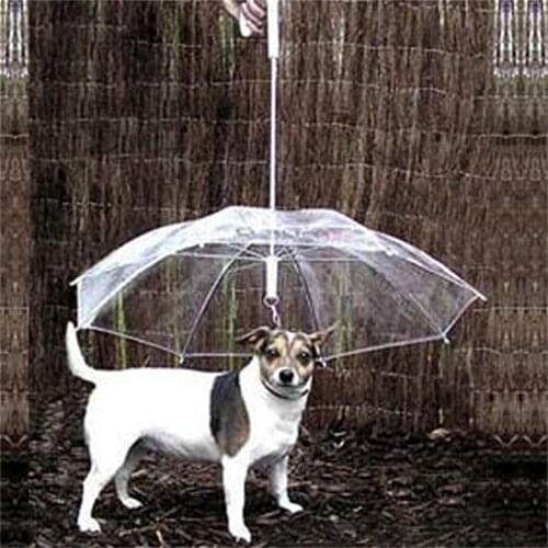 2016 August Dog Walking Waterproof Clear Cover Built-in Leash Rain Sleet Snow Pet Umbrella Dog Raincoats