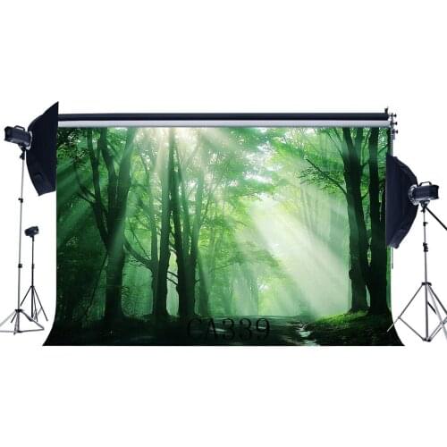 Photography Backdrops Halloween Horror Night Mysterious Forest Sunshine Masquerade Portraits Photo Background