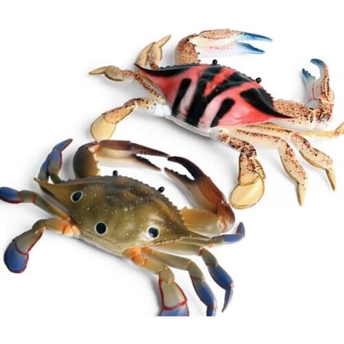 2 Kinds Portunid Animal Figure Collectible Toys Sea Animal Cognition Action Figures Kids Plastic Model Toys