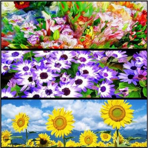 Touoilp 5D Living room daisy Diamond embroider Sunflower cross stitch Abstract flower full diamond painting diy diamond painting