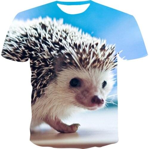 Kawaii Animal Hedgehog 3D Printing Men Women Csual Clothes T-Shirt Boy Girl Cool Tshirt Teens Fashion Birthday Lovely Gift Tees