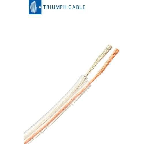 TRIUMPHCABLE RVH Gold Silver Wire 5 m Double Parallel Cable 0.5mm 0.75mm 1.0mm 1.5mm 2.0mm 2.5mm 3.0mm 4.0mm Audio Cable