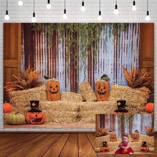 Halloween Backdrop Fall Pumpkin Ghost Haystack Newborn Baby Photography Background Photo Studio Photozone Photophone Decor Props