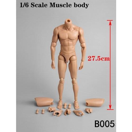 In Stock B005 2019 Upgrated Version 1/6 Scale Male Figure Accessory Muscle Body for 1:6 Head Sculpt