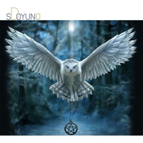 SDOYUNO DIY painting by numbers with frame for adults Spread wings owl acrylic paints for painting Unique Gift For Home Decor