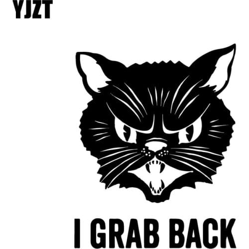 YJZT 12.9CM*16.5CM I GRAB BACK Vinyl Decal Car Sticker Cat Feminist Bad Luck Black Silver C10-02455