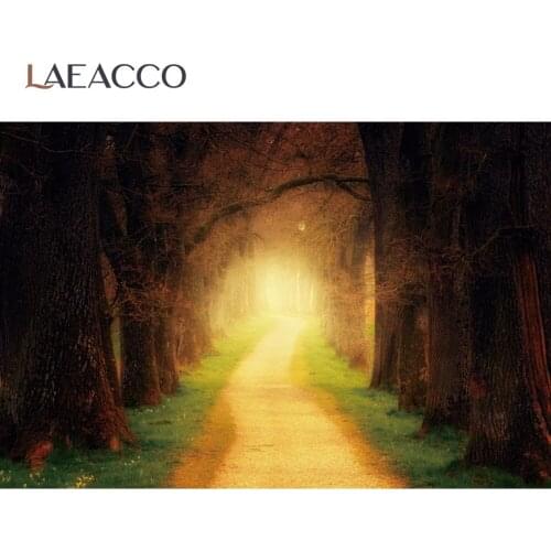 Autumn Forest Backgrounds For Photography Green Tree Way Mystery Hole Party Scenic View Photographic Backdrop Photo Studio