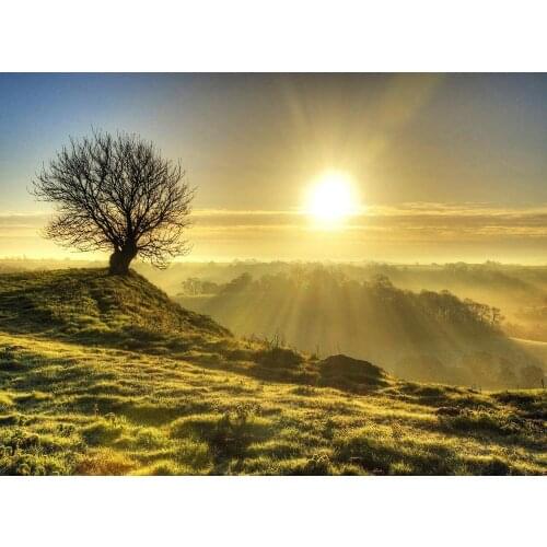 PHOTO LANDSCAPE SUNRISE DAWN LONE TREE Art print Silk poster Home Wall Decor