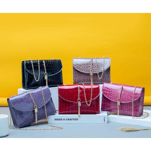 Women Purses And Handbags Small Crossbody Purse Crocodile Pattern Shoulder Bag Luxury Designer Handbag With Golden Metal Tassel