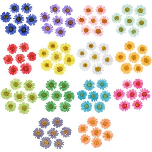100Pcs Real Natural Dried Pressed Flowers White Daisy Pressed Flower for Resin Jewelry Nail Stickers Makeup Art Crafts