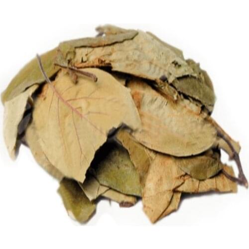 Quince leaf - Cydonia oblonga 50 gr-400 gr Free Shipping