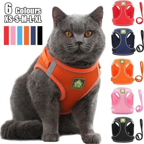 Nylon Mesh Puppy Cat Harnesses Vest Reflective Dog Harness and Leash Set for Chihuahua Pug Small Medium Walking Lead Leash
