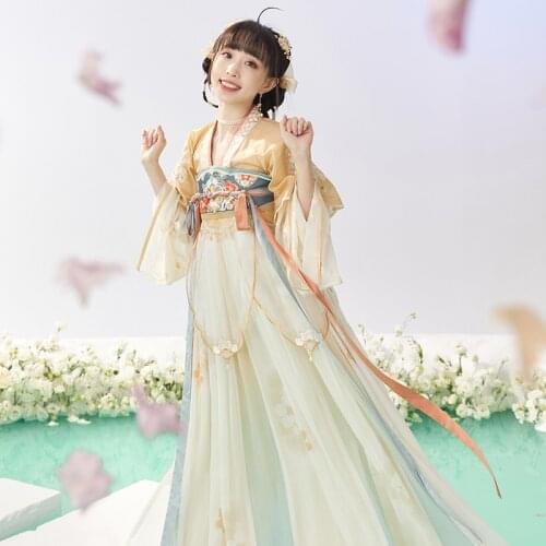 New Summer Hanfu Clothes For Women Adult Chinese Ancient Princess Daily Clothing Han Tang Dynasty Cosplay Stage Costumes DQL5745