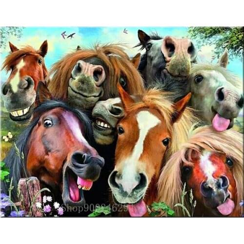 5D DIY Diamond Painting Horse Full Square round Diamond Embroidery Animal Cross Stitch Family Rhinestone Mosaic Decor FF1762