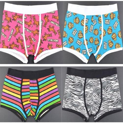 6 pieces boys multipack trunk lion zebra Leopard striped mens boxers kids shorts child panties cotton briefs pants underwear
