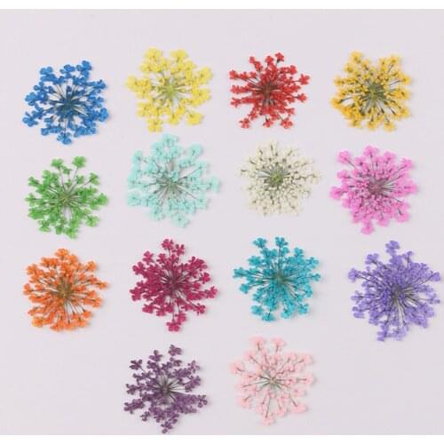 1 bag snowdrop flower natural dried flower pressed flower manicure dried flower drip glue mobile phone case diy material