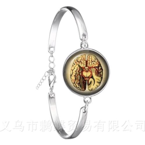 Steampunk Human Anatomy Organ Bracelet Glass Cabochon Science Medical Punk Chain Bangle 18mm Glass Dome Brain Eye Jewelry