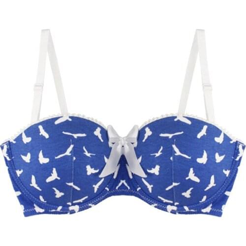 MiaoErSiDai Sexy Girls Bra Flying Bird Printed Teenage Underwear Bralette Padded Small Breast Bra 28-38 A-DDD