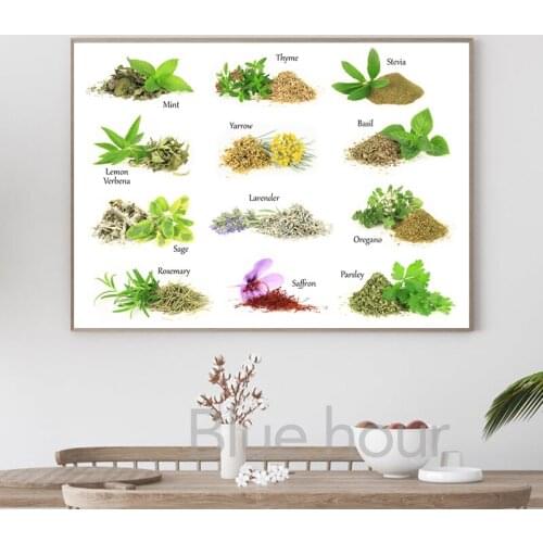 Culinary Herbs and Spices Collection Poster Prints Kitchen Wall Decoration Pictures Natural Plants Mint Rosemary Canvas Painting