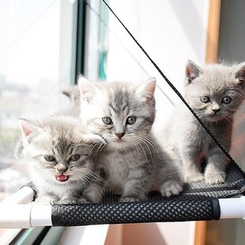 10KG Kitten Hammock Mounted Cat Bed Hang Seat Mat Home Suction Cup Window sleeping Lounger Sofa Breathable Pet climbing Nest