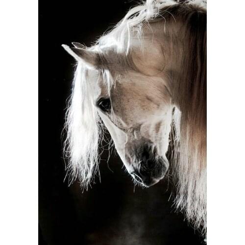 Horse,Diamond Embroidery,Animal,Full,Diamond Painting,Cross Stitch,5D,Needlework,Round Rhinestone,Mosaic,Decoration,Gift