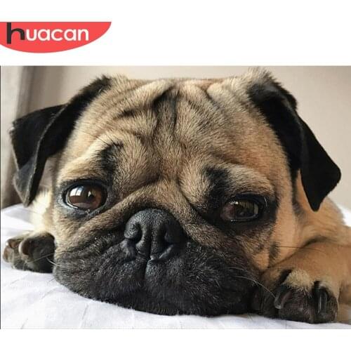 HUACAN Full Diamond Painting Animal 5D Mosaic Rhinestone Cross Stitch DIY Diamond Embroidery Dog Home Decoration