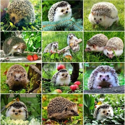 MomoArt DIY Diamond Painting Hedgehog New Arrival Diamond Mosaic Animal Full Drill Square Embroidery Cross Stitch Home Decor