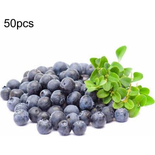 50pcs Artificial Blueberry Craft Fake Fruit Blueberries Home Kitchen Cabinet Decoration