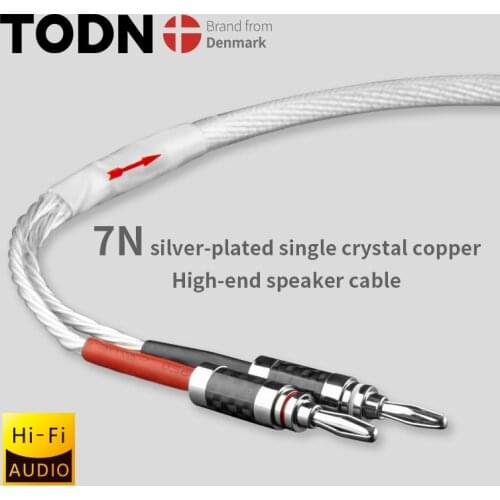TODN One Pair HIFI Silver-plated Speaker Cable Hi-end 5N OCC Speaker Wire For Hi-fi Systems Y Plug Banana plug Speaker Cable